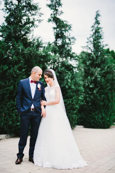 Groom and bride standing close under tall evergreens